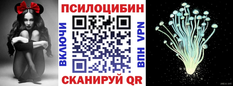 Псилоцибиновые грибы мицелий  это как зайти  Брюховецкая 